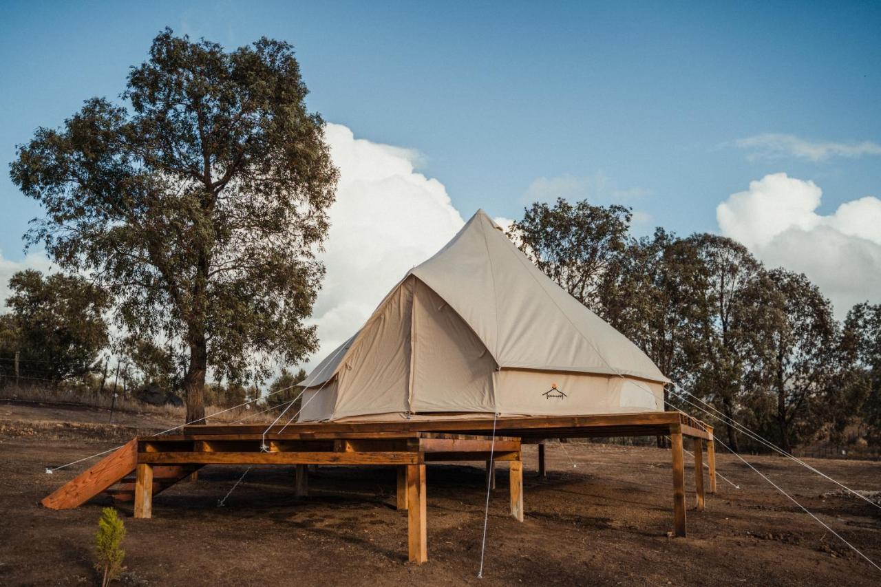 Lago Valle Wine Glamping Вальє-де-Гуадалупе Екстер'єр фото