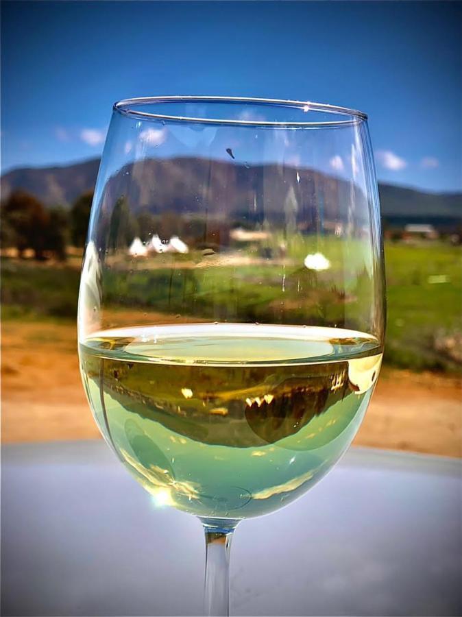 Lago Valle Wine Glamping Вальє-де-Гуадалупе Екстер'єр фото