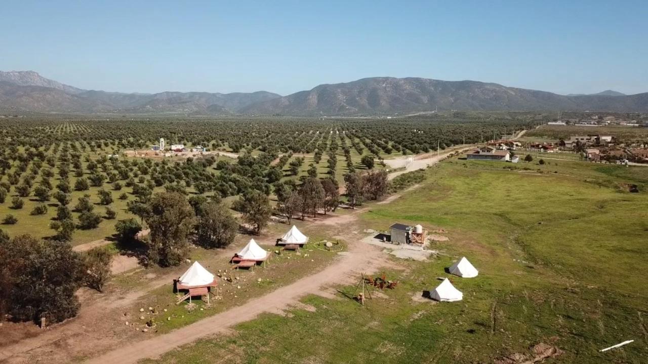 Lago Valle Wine Glamping Вальє-де-Гуадалупе Екстер'єр фото