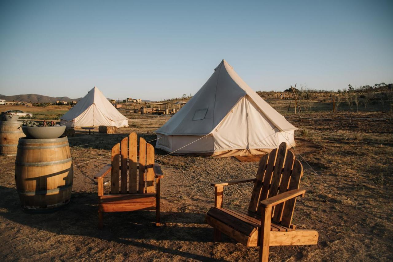 Lago Valle Wine Glamping Вальє-де-Гуадалупе Екстер'єр фото